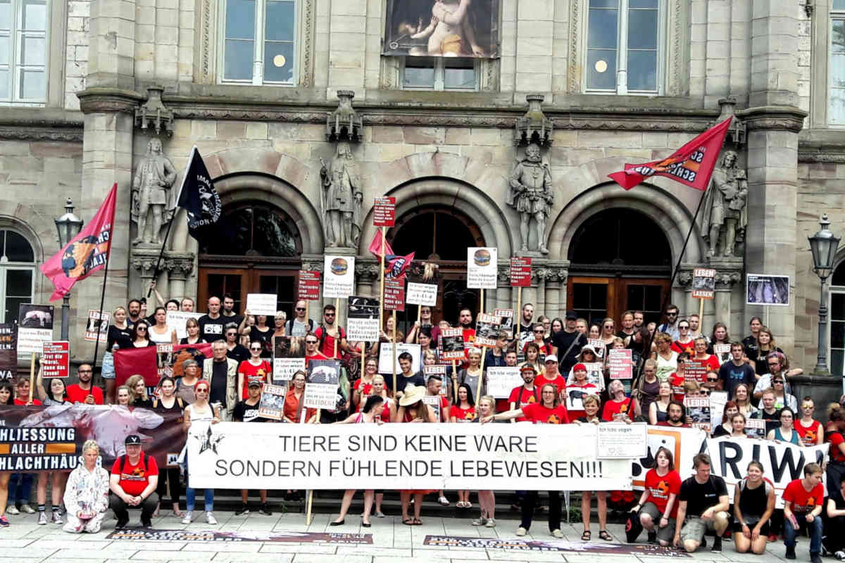 Demos für die Schließung aller Schlachthäuser Göttingen
