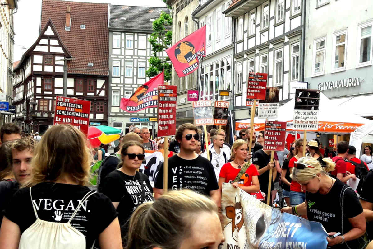 Demos für die Schließung aller Schlachthäuser Göttingen