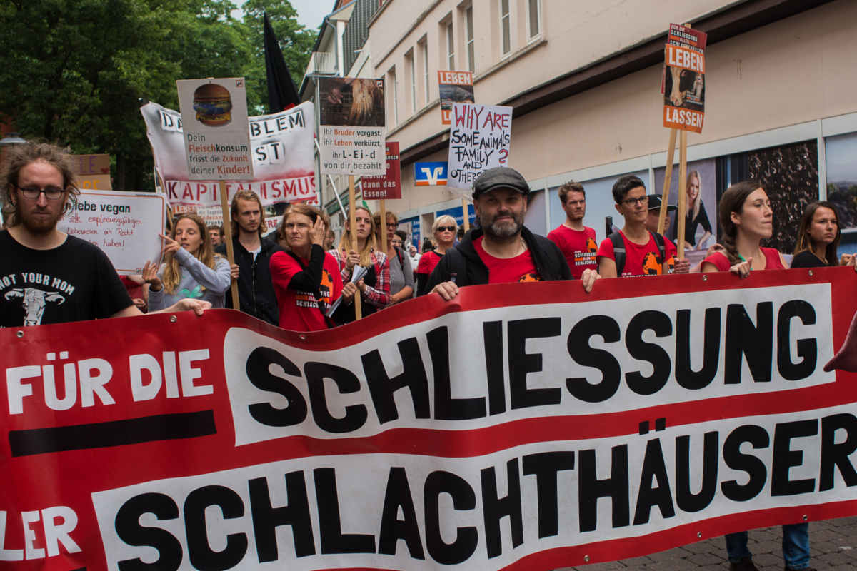 Demos für die Schließung aller Schlachthäuser Münster