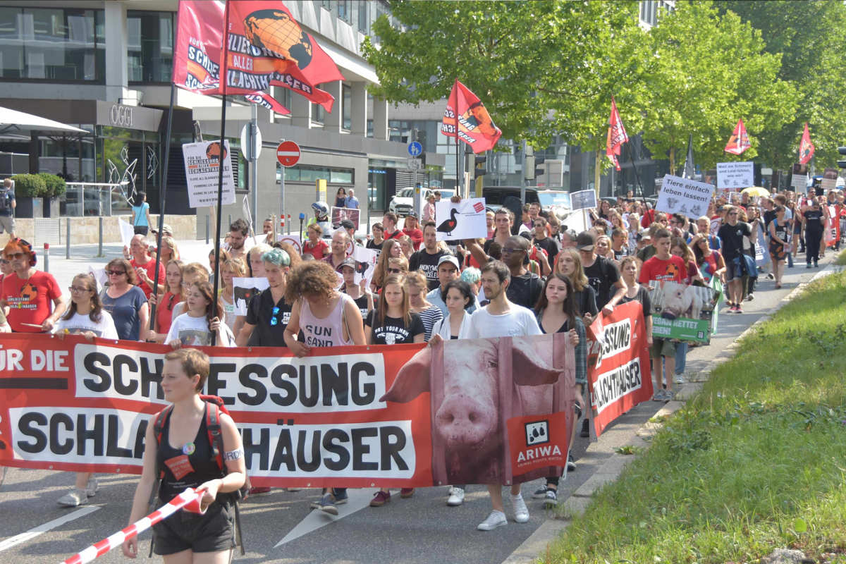 Demos für die Schließung aller Schlachthäuser Stuttgart