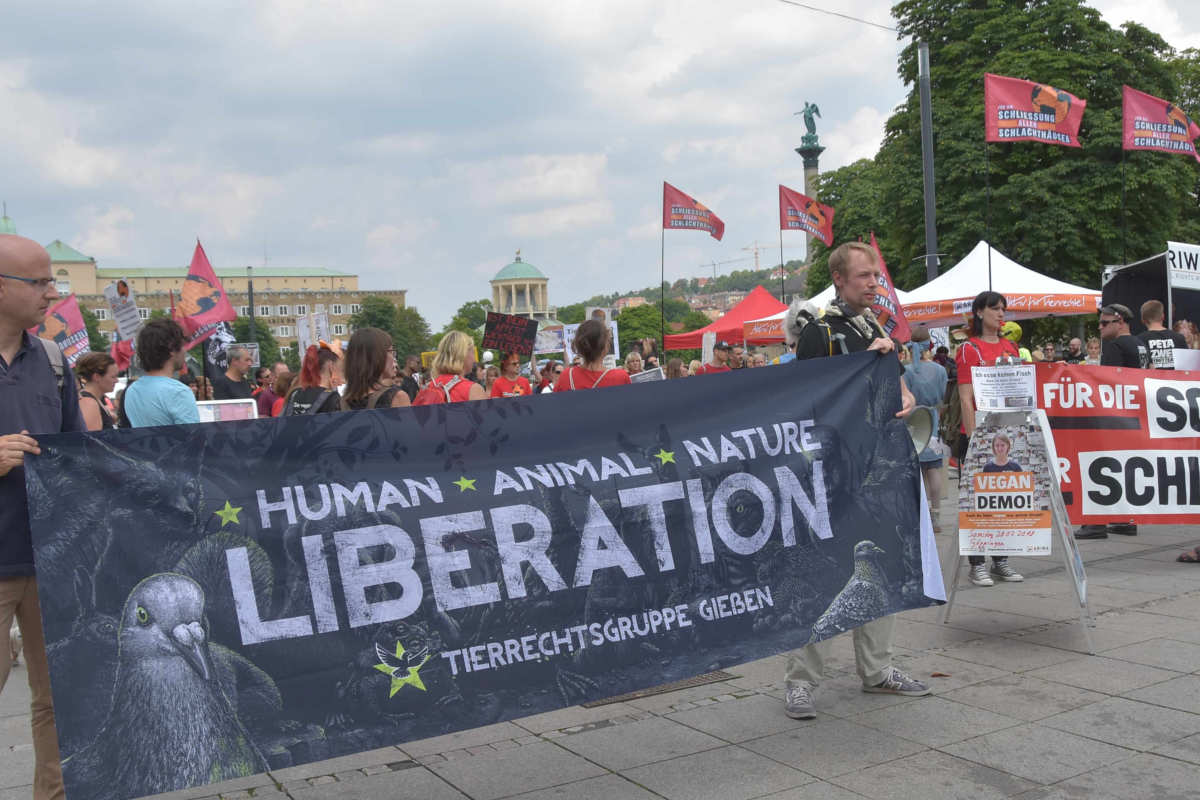 Demos für die Schließung aller Schlachthäuser Stuttgart