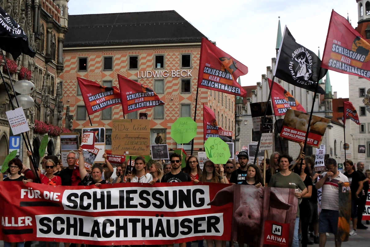 Demos für die Schließung aller Schlachthäuser München