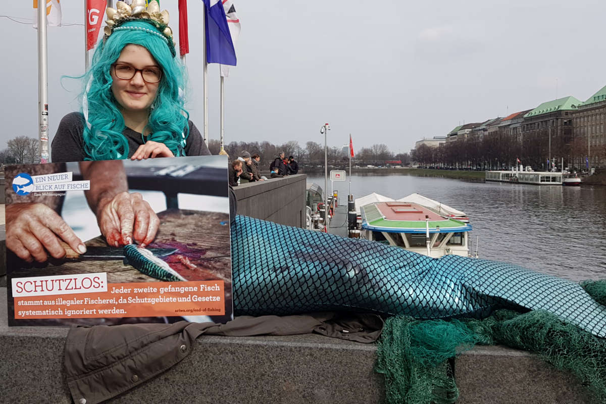 Welttag für das Ende der Fischerei