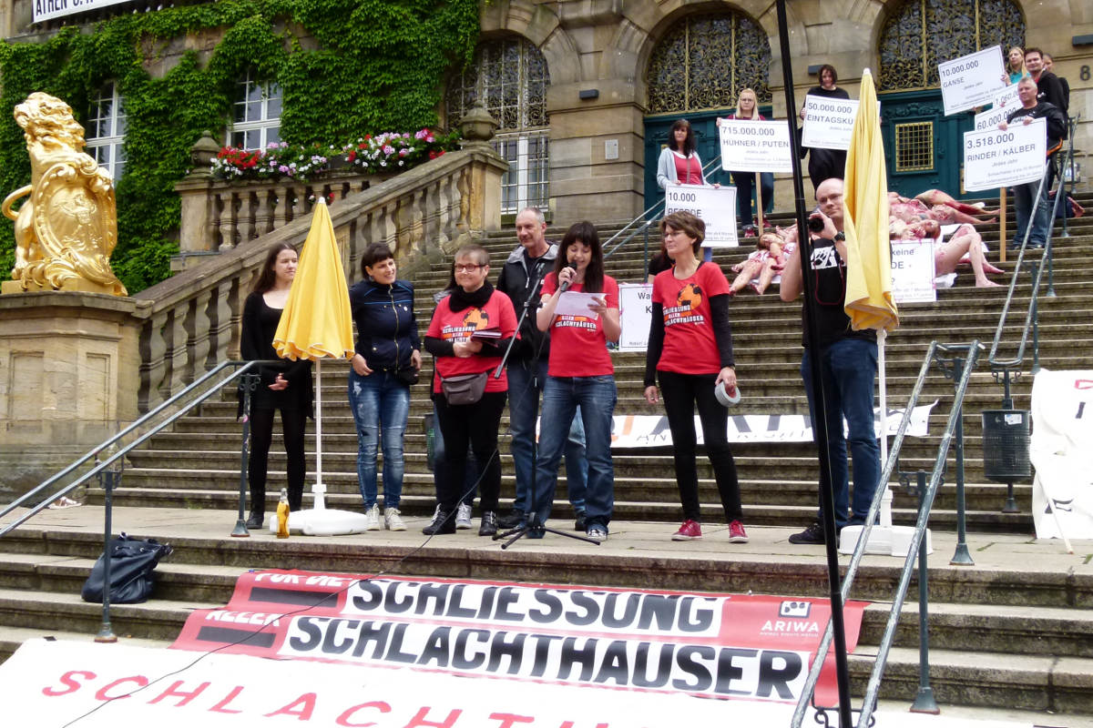 Demo zur Schließung aller Schlachthäuser Kassel