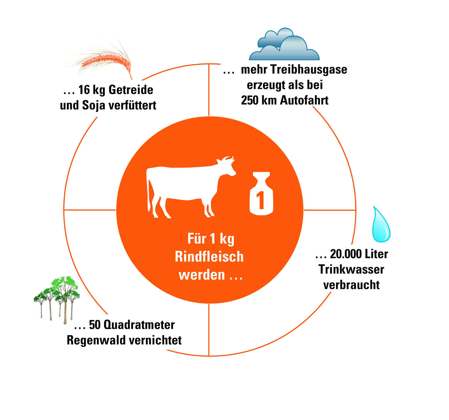 ARIWA Diagramm Resourcenverbrauch Rindfleisch