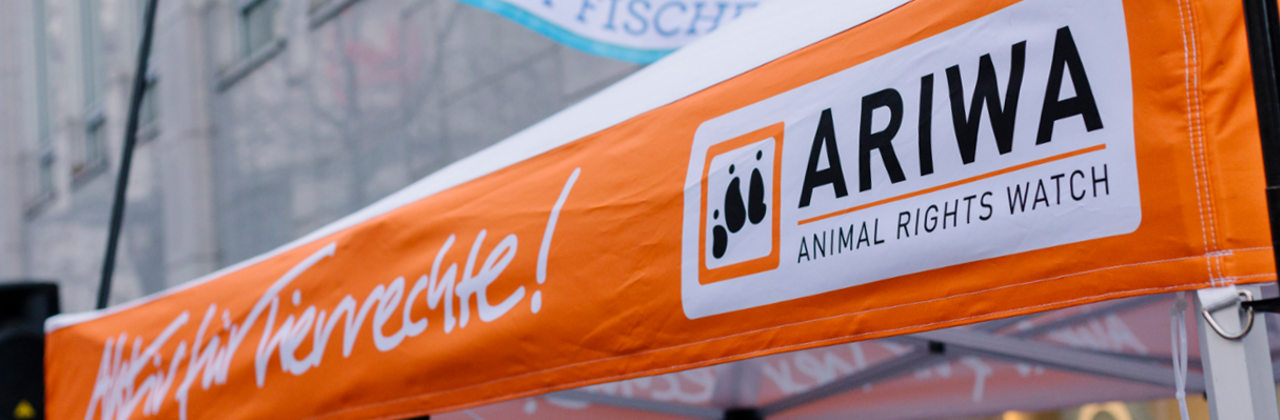 ARIWA Infostand auf dem Tierschutzfestival in Koblenz