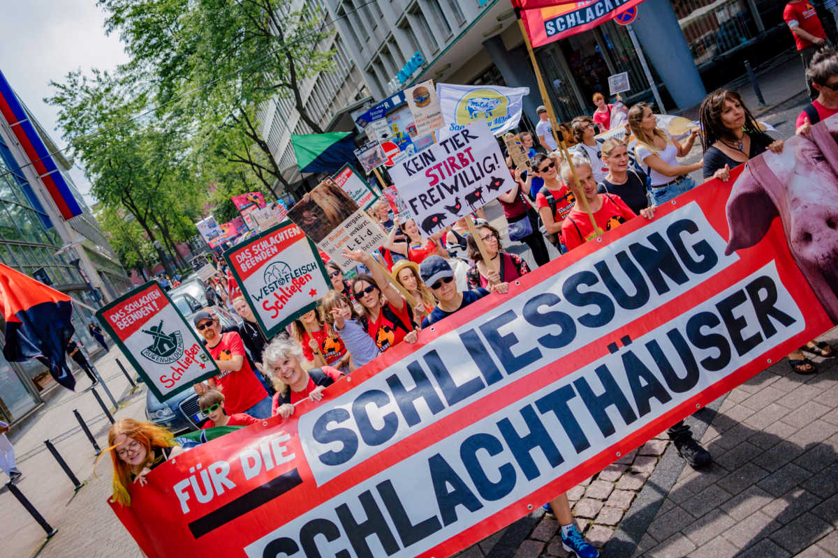 Schließung aller Schlachthäuser