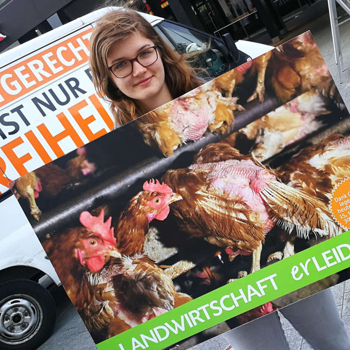 Protestaktion gegen Fleisch