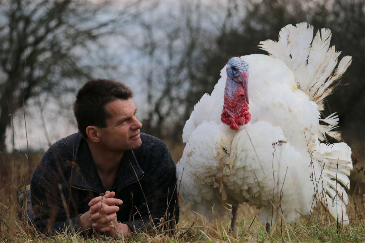 Mensch und Puter in Frieden auf einer Wiese