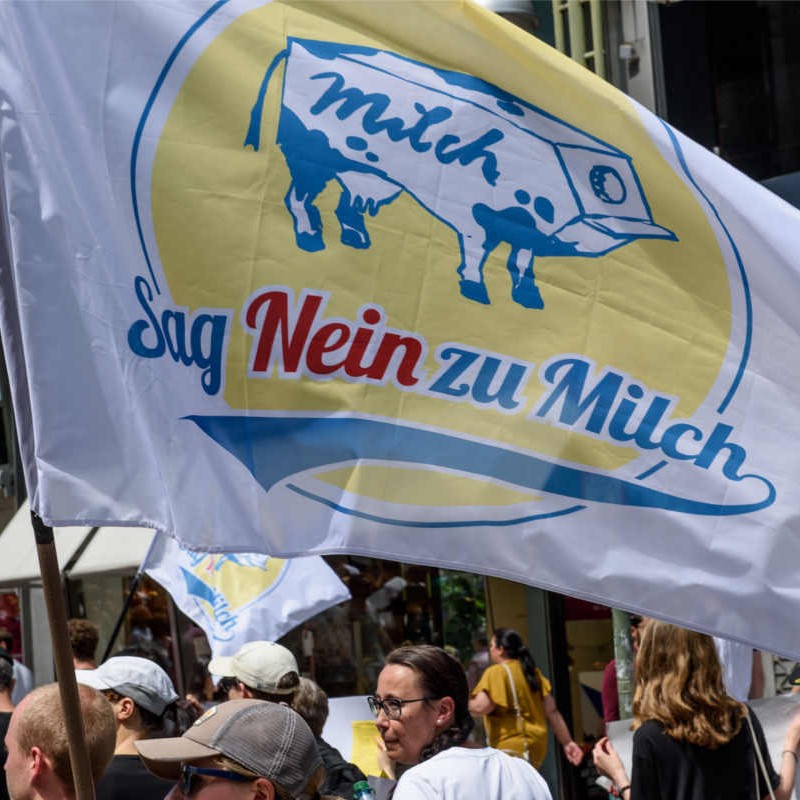 ARIWA Braunschweig: "Sag Nein zu Milch!" Infostand zum Weltmilchtag
