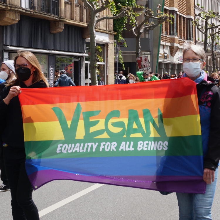 Tierbefreiung – queer und feministisch