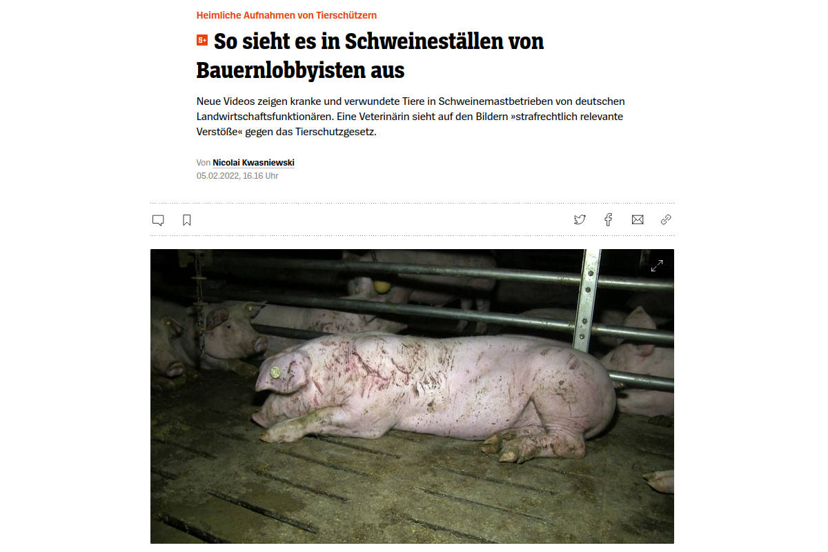 Spiegel Online: So sieht es in Schweineställen von Bauernlobbyisten aus