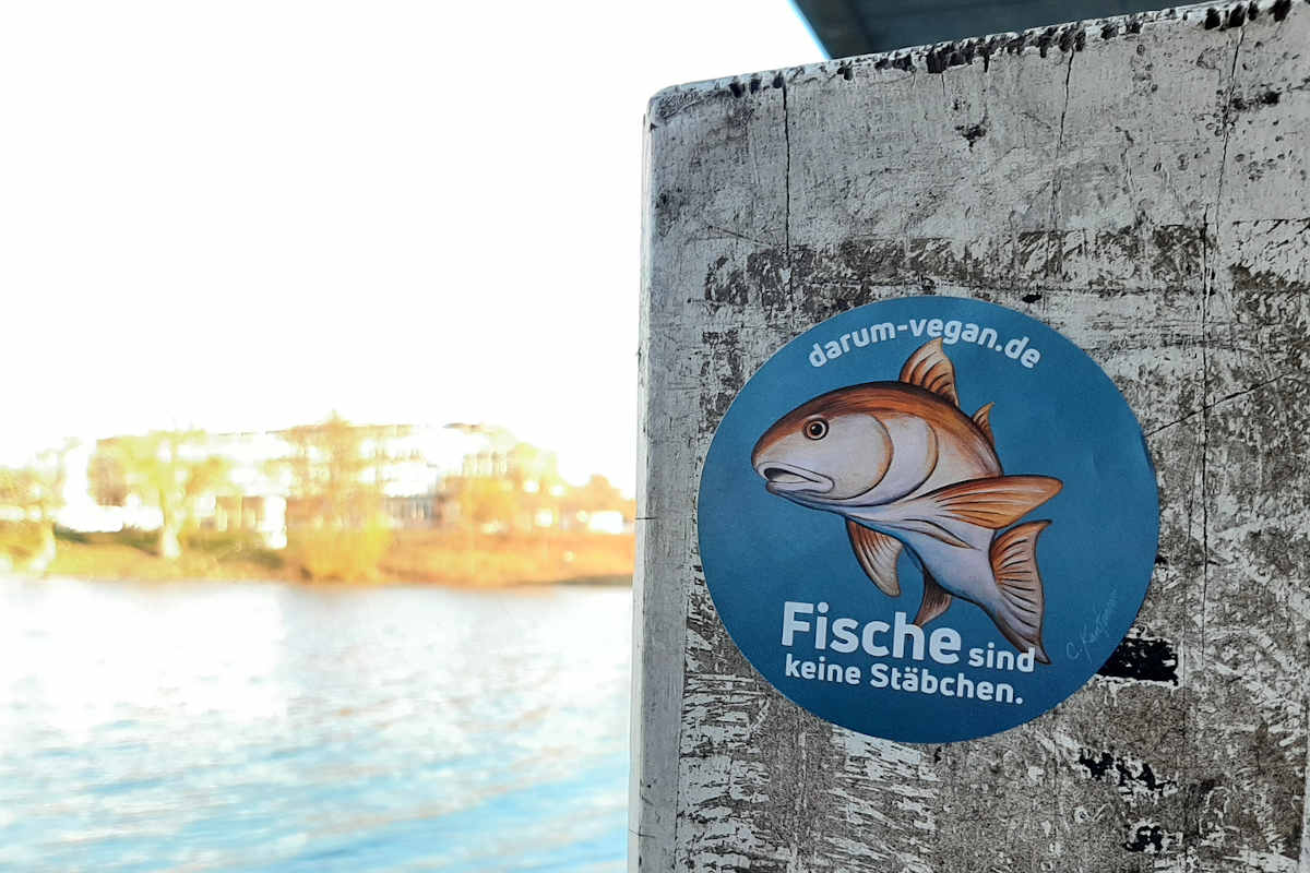ARIWA Sticker: Fische sind keine Stäbchen (darum-vegan.de)