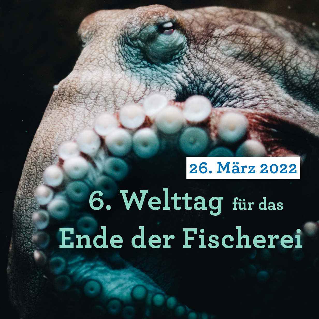 Welttag für das Ende der Fischerei - Würzburg