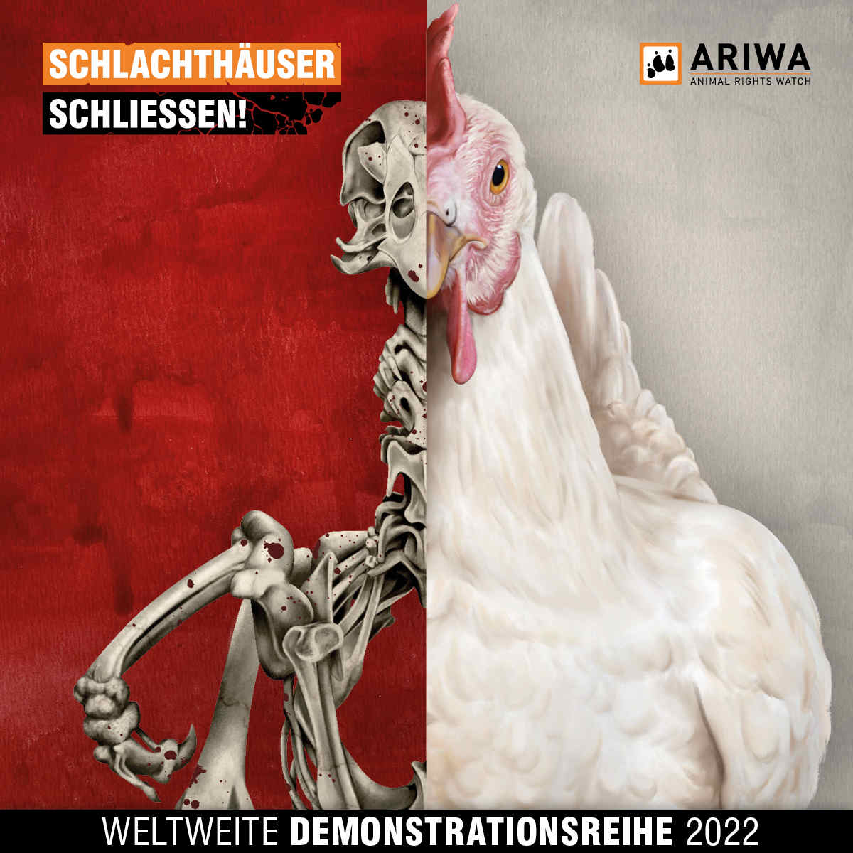 Schlachthäuser Schliessen: Weltweite Demonstrationsreihe 2022
