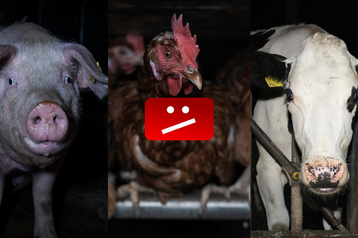 Wir fordern: keine YouTube-Schranke für Dokumentationen!