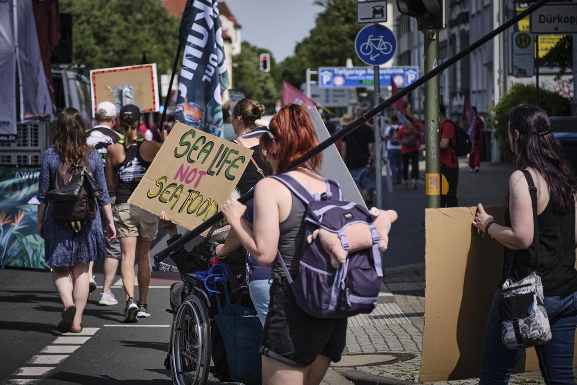 Eine Demoteilnehmende im Rollstuhl hält ein Schild mit der Aufschrift "Sea Life not Sea Food"