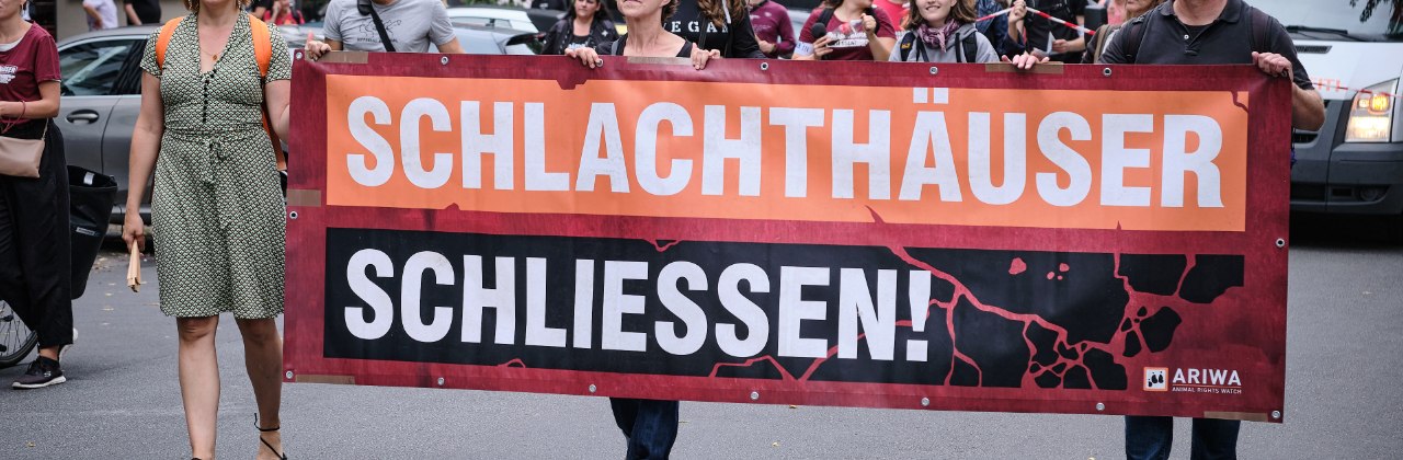 Demoreihe: Schlachthäuser schließen