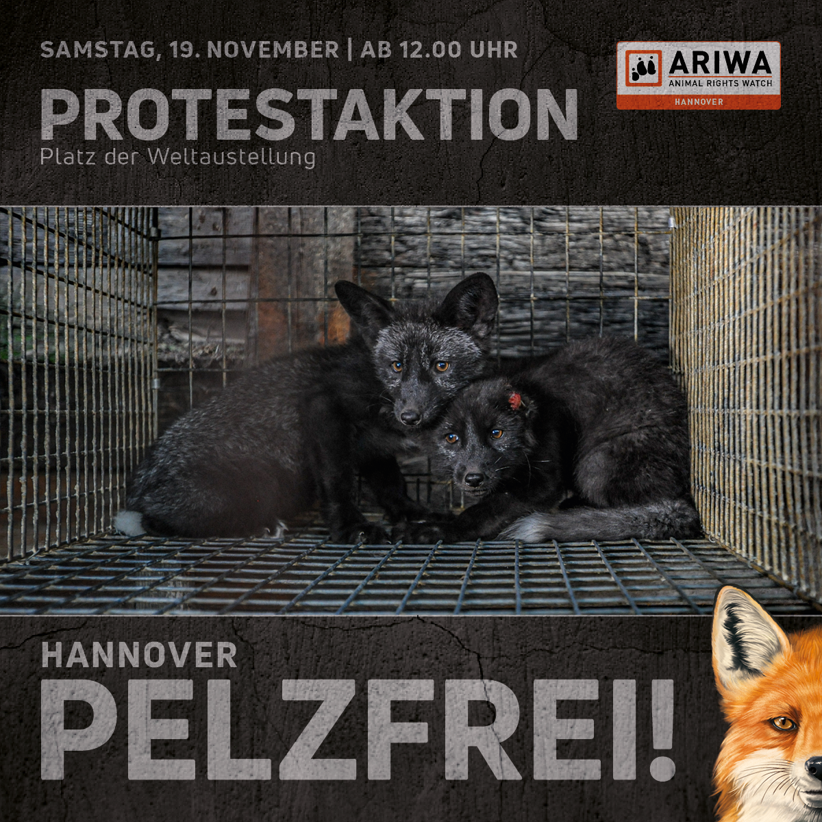 Hannover Pelzfrei!