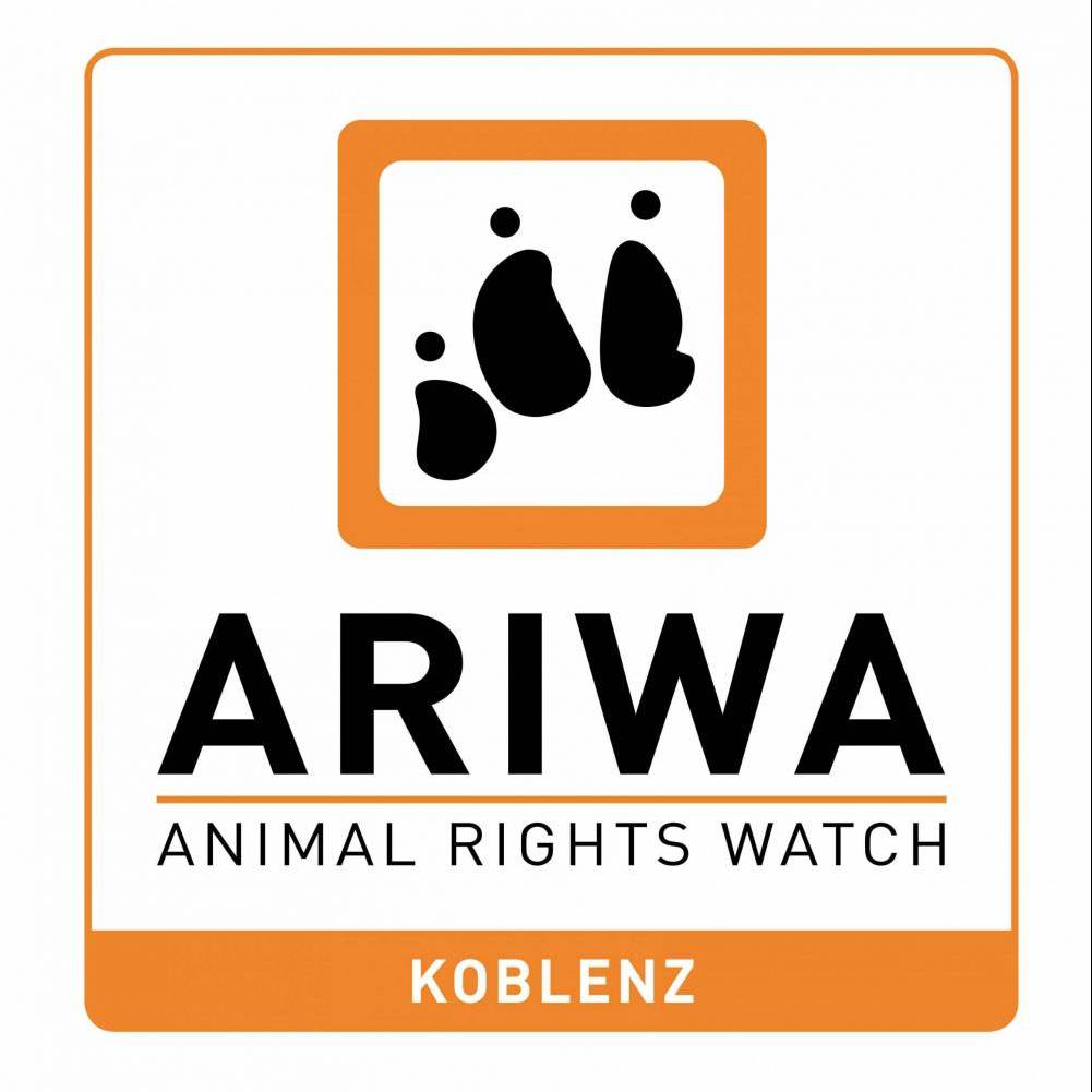 Aktiventreffen | ARIWA Koblenz