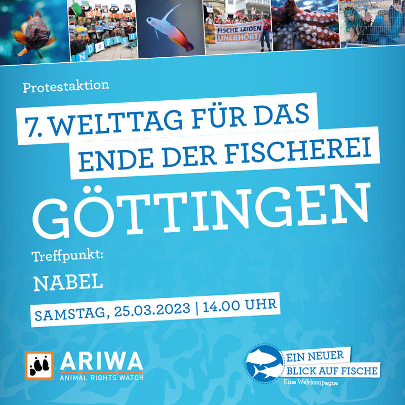 7. Welttag für das Ende der Fischerei | Göttingen