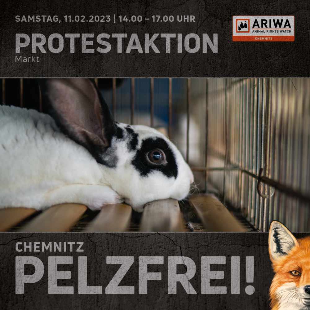 PROTESTAKTION: CHEMNITZ PELZFREI!