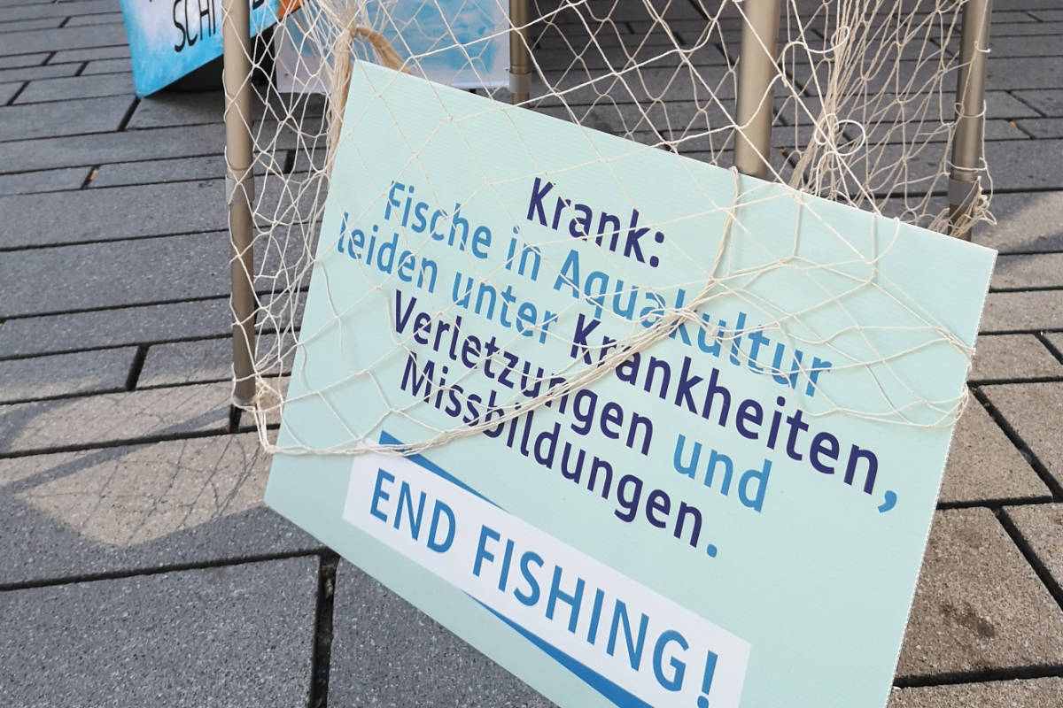 7. Welttag für das Ende der Fischerei (25. März 2023)