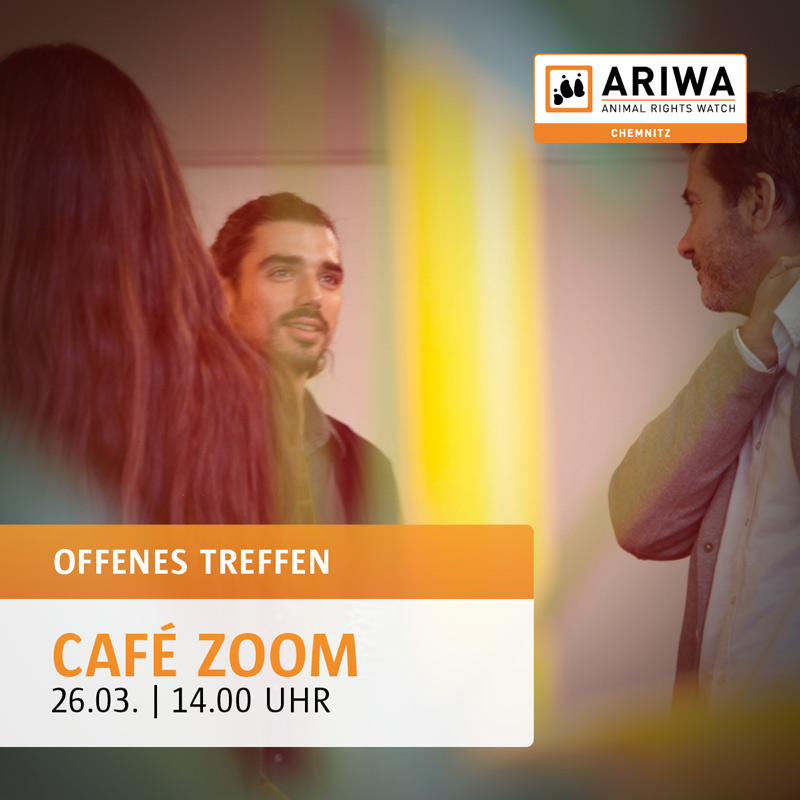 Offenes Treffen | ARIWA Chemnitz