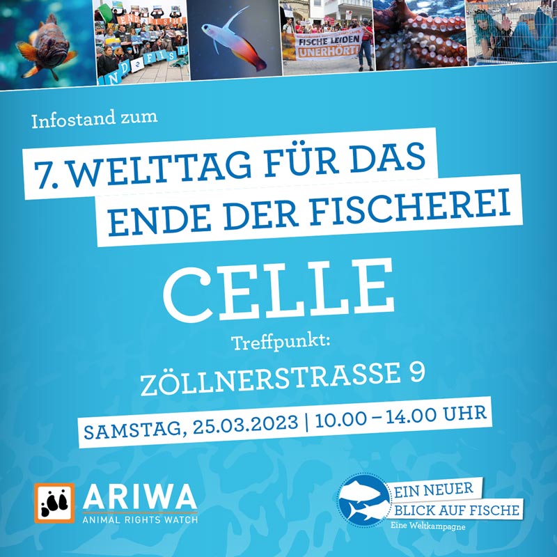 7. Welttag für das Ende der Fischerei | Celle