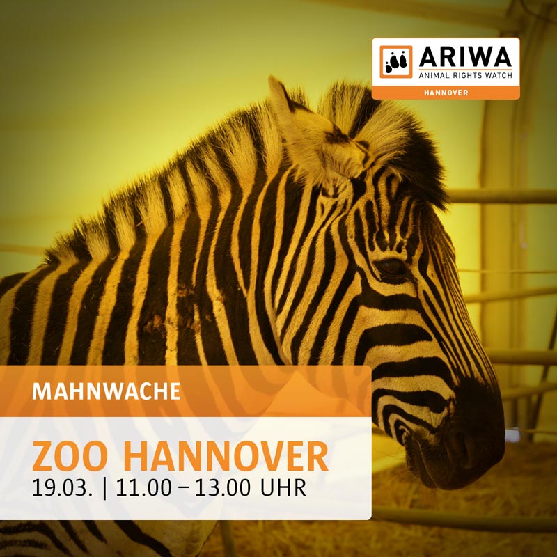 Mahnwache: Zoo Hannover