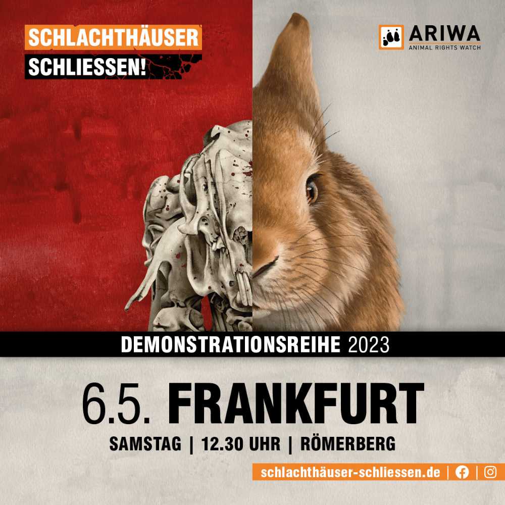 Frankfurt für die Schließung aller Schlachthäuser