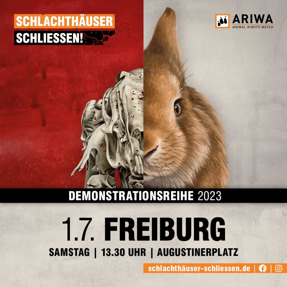 Freiburg für die Schließung aller Schlachthäuser