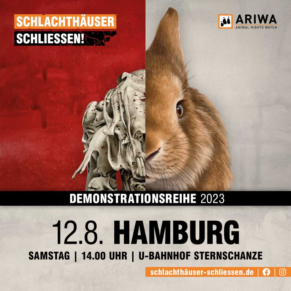 Hamburg für die Schließung aller Schlachthäuser
