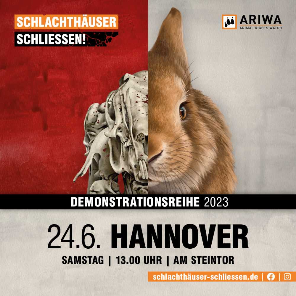 Hannover für die Schließung aller Schlachthäuser
