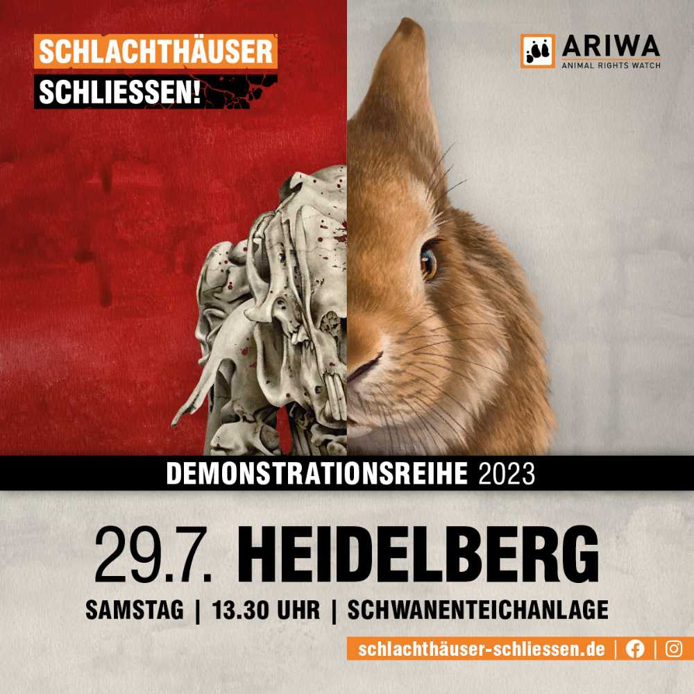Heidelberg für die Schließung aller Schlachthäuser