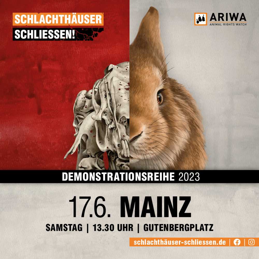 Mainz für die Schließung aller Schlachthäuser