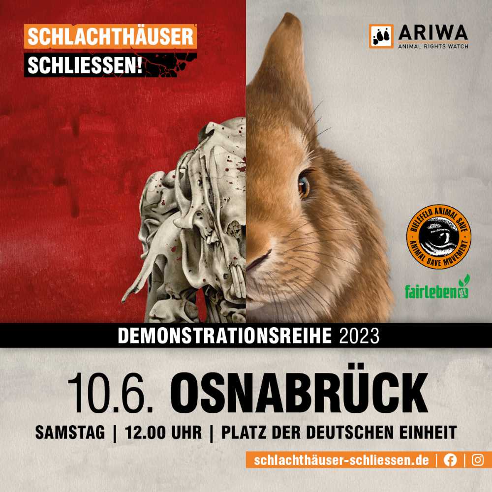 Osnabrück für die Schließung aller Schlachthäuser