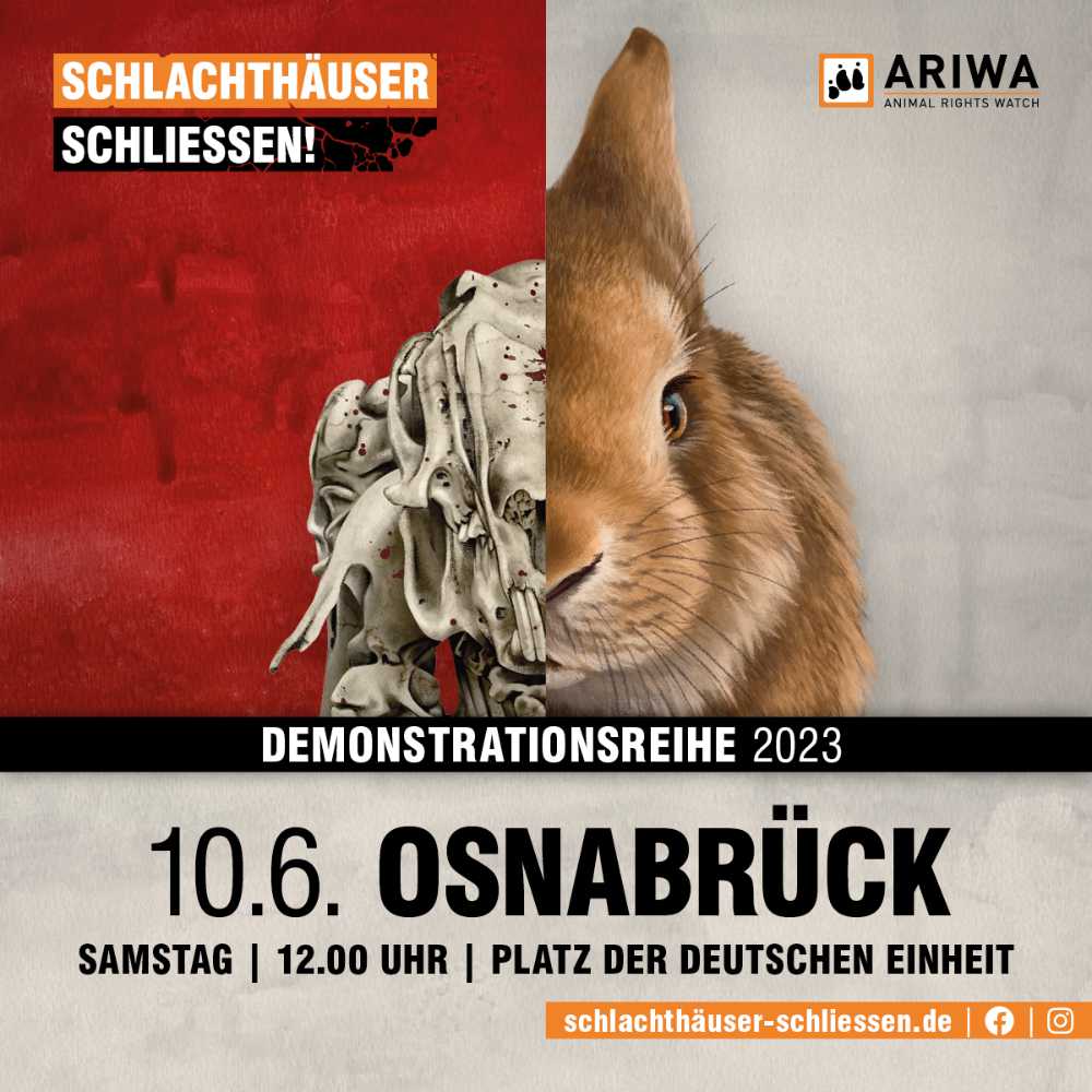 Osnabrück für die Schließung aller Schlachthäuser