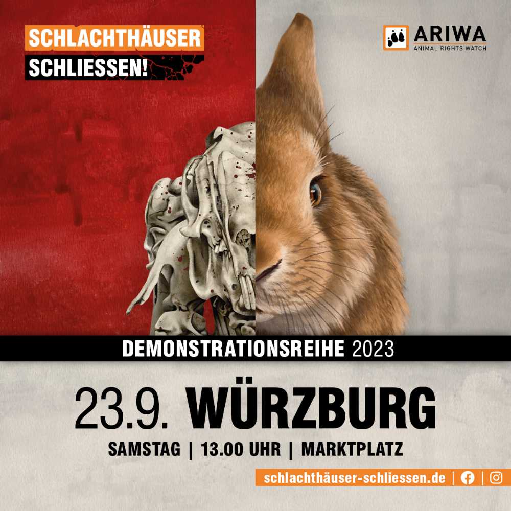 Würzburg für die Schließung aller Schlachthäuser