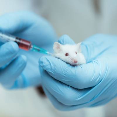 Aktionstag zum Internationalen Tag zur Abschaffung der Tierversuche | Frankfurt