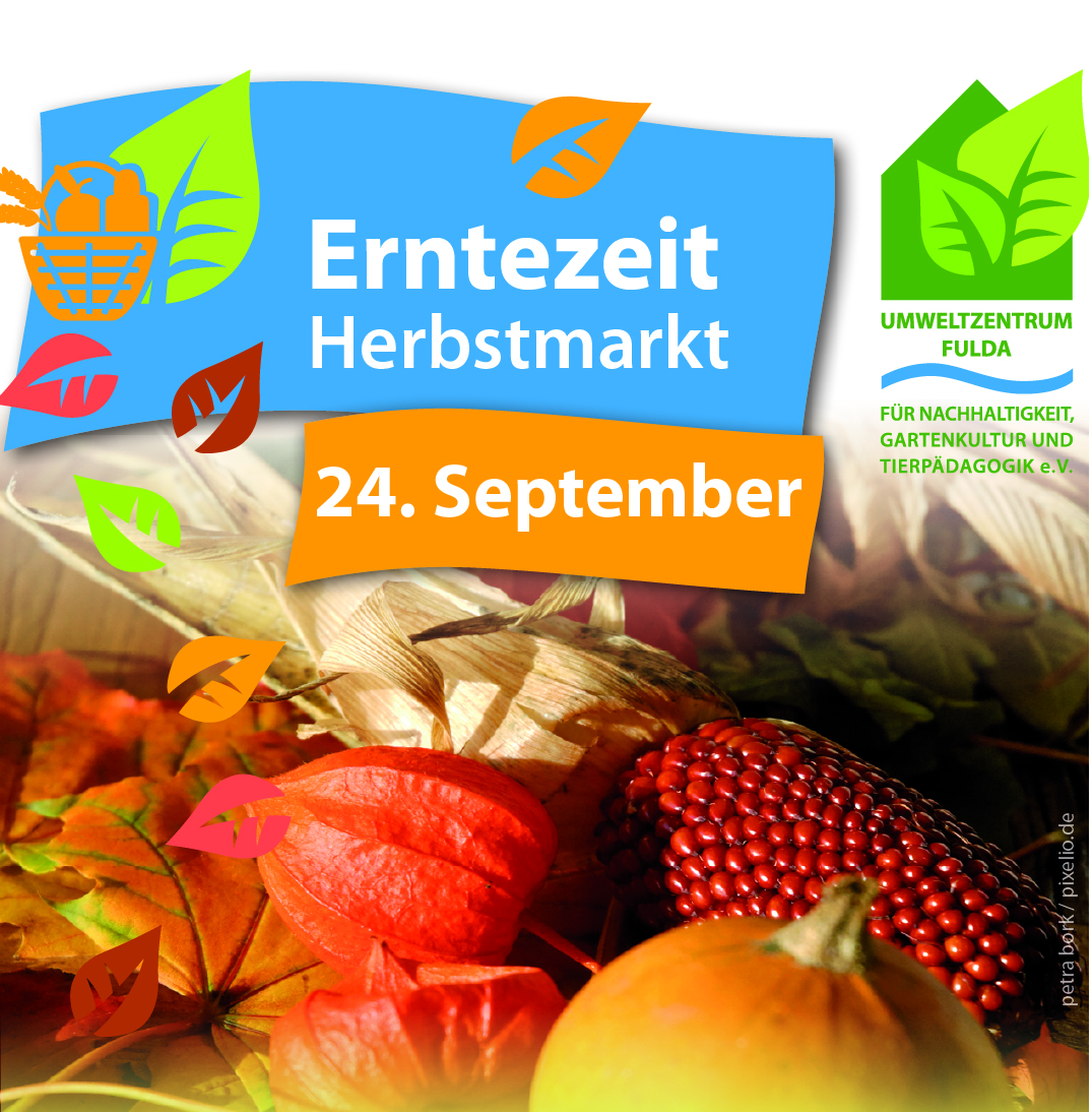 Infostand auf Erntezeit-Herbstmarkt