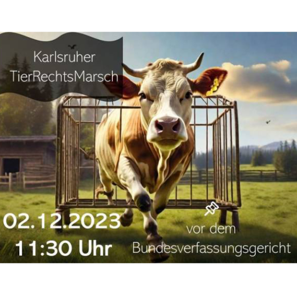 Tierrechtsdemo_Karlsruhe Infostand beim 1. Tierrechtsmarsch Karlsruhe