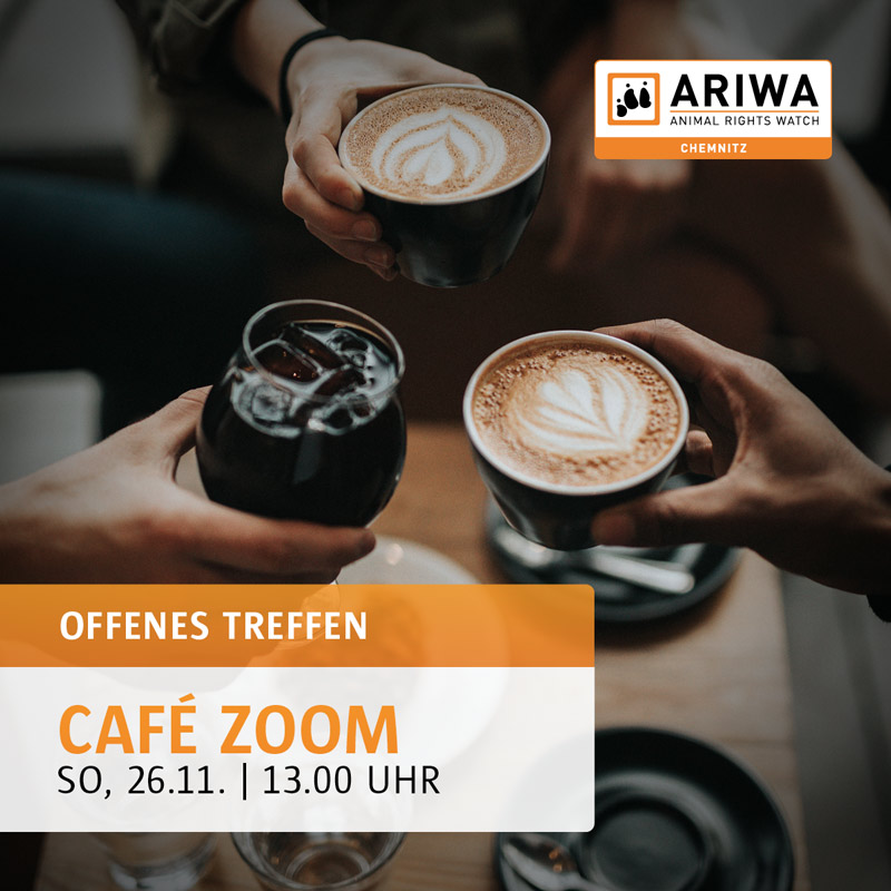 Offenes Treffen | ARIWA Chemnitz