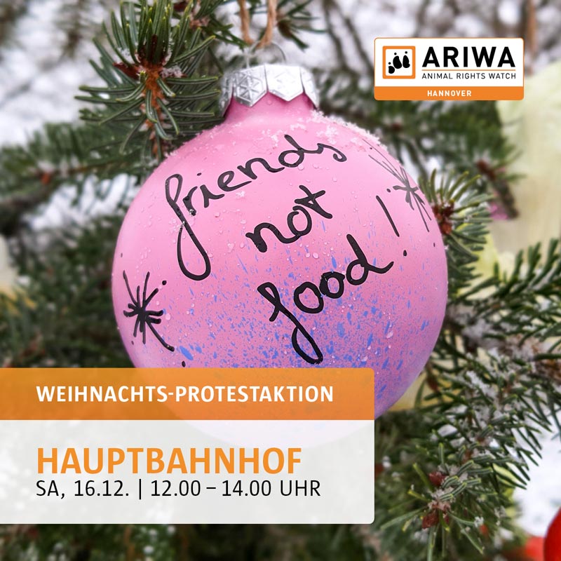 Weihnachts-Protestaktion
