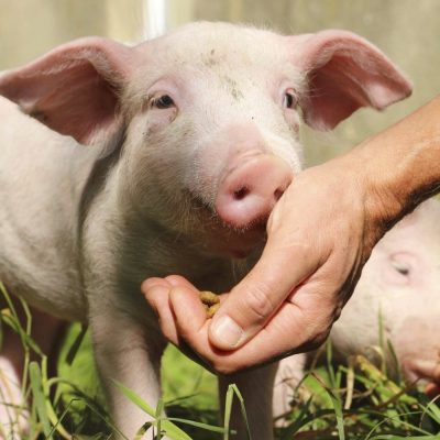 Offenes Treffen | ARIWA Stuttgart