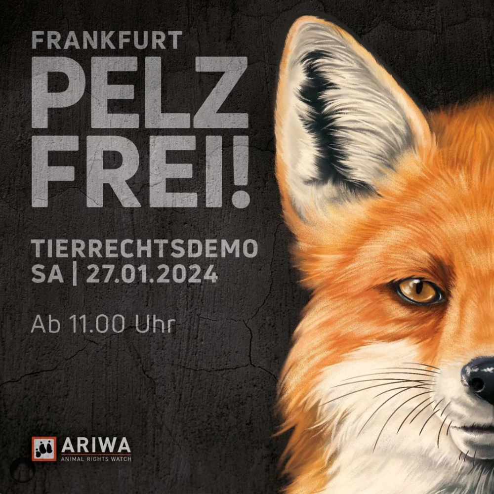 FRANKFURT PELZFREI ! - Tierrechtsdemo