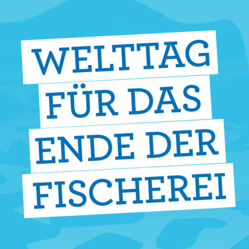 Welttag für das Ende der Fischerei | Stuttgart