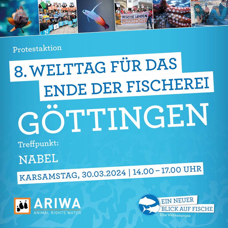 Welttag für das Ende der Fischerei | Göttingen