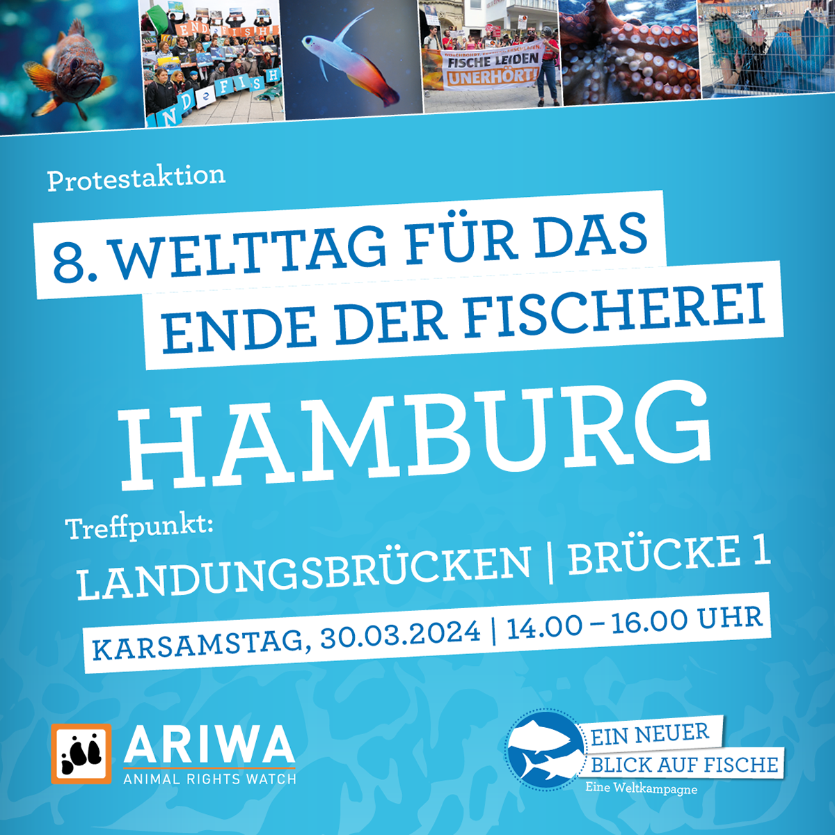 Welttag für das Ende der Fischerei | Hamburg