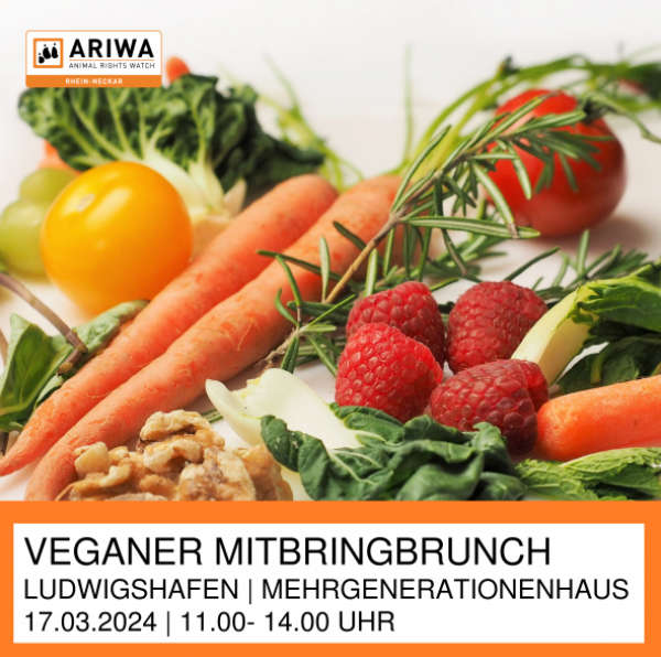 Veganer Mitbringbrunch Ludwigshafen
